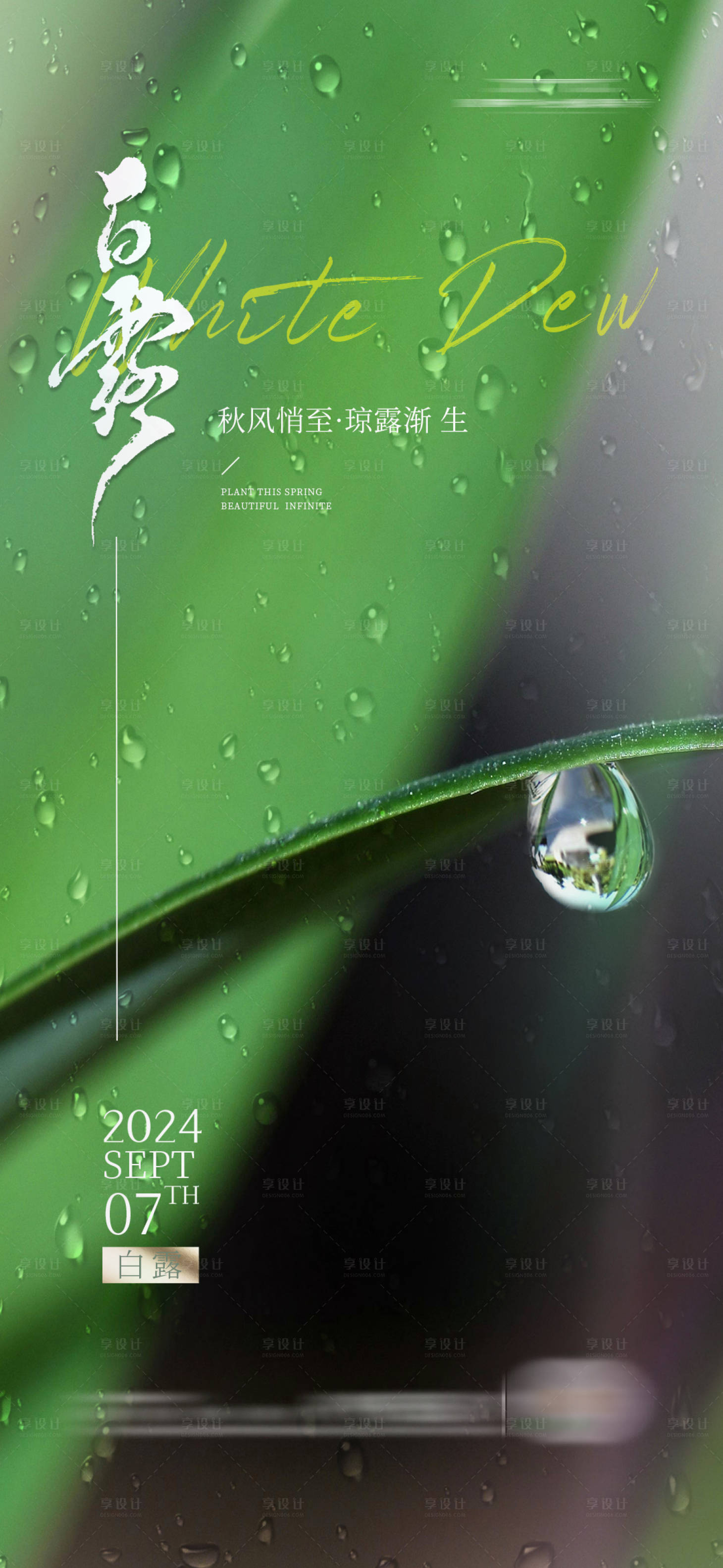 源文件下载【享设计】搜索编号：37470024919408557【白露海报】