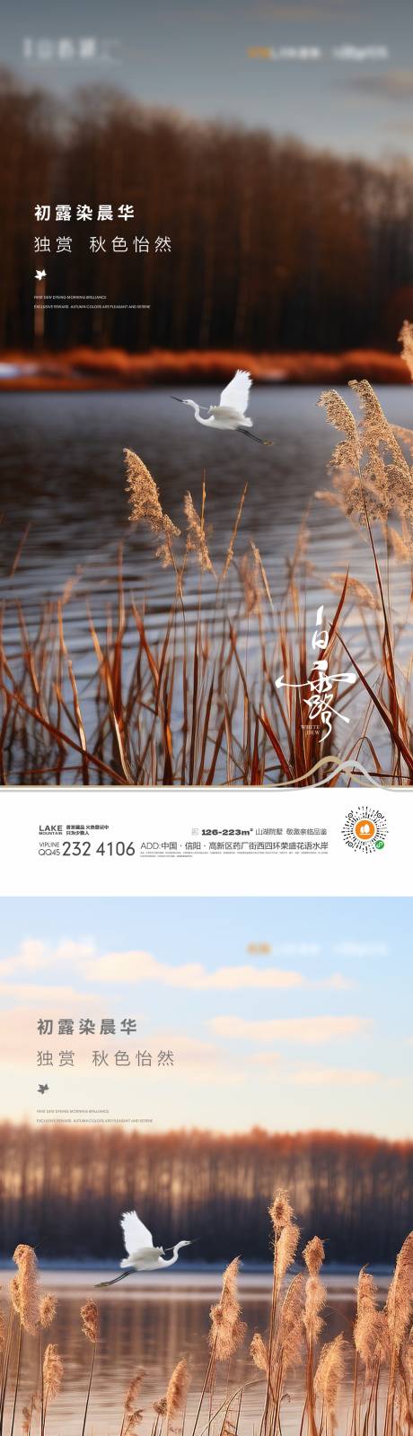 源文件下载【享设计】搜索编号：90960025101548764【白露节气海报】