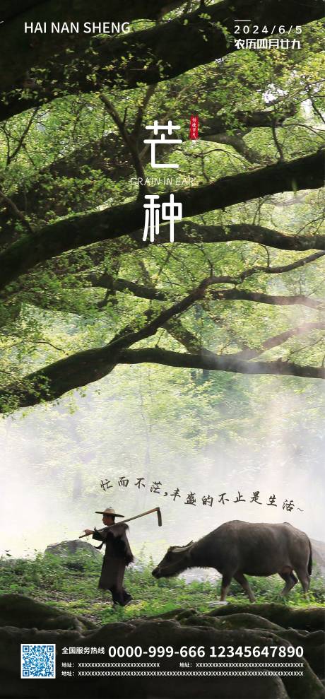 源文件下载【芒种节气海报】编号：72980025010876363