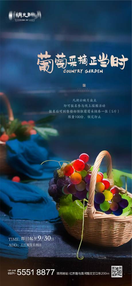 源文件下载【享设计】搜索编号：96790025279381620【地产葡萄采摘活动海报】