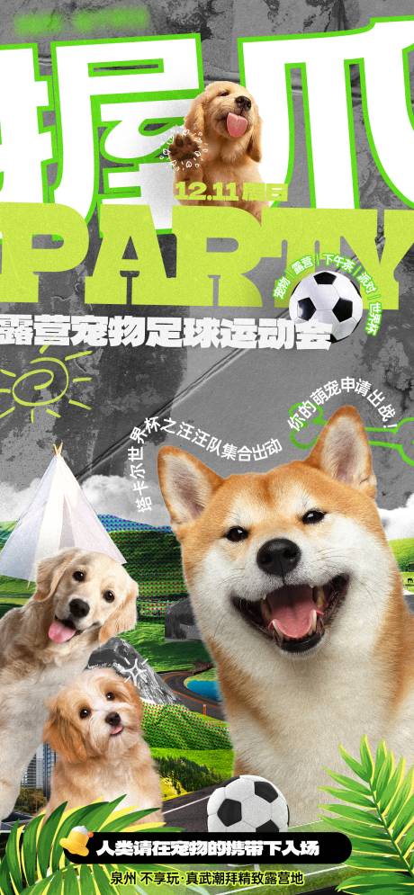 源文件下载【拼贴风营地宠物足球运动会活动海报】编号：32620024890641375