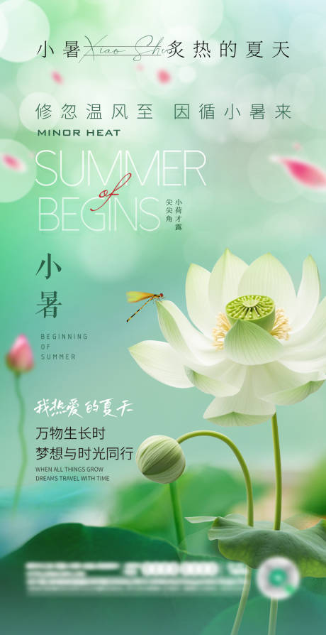 源文件下载【小暑节气海报】编号：64840025240648221