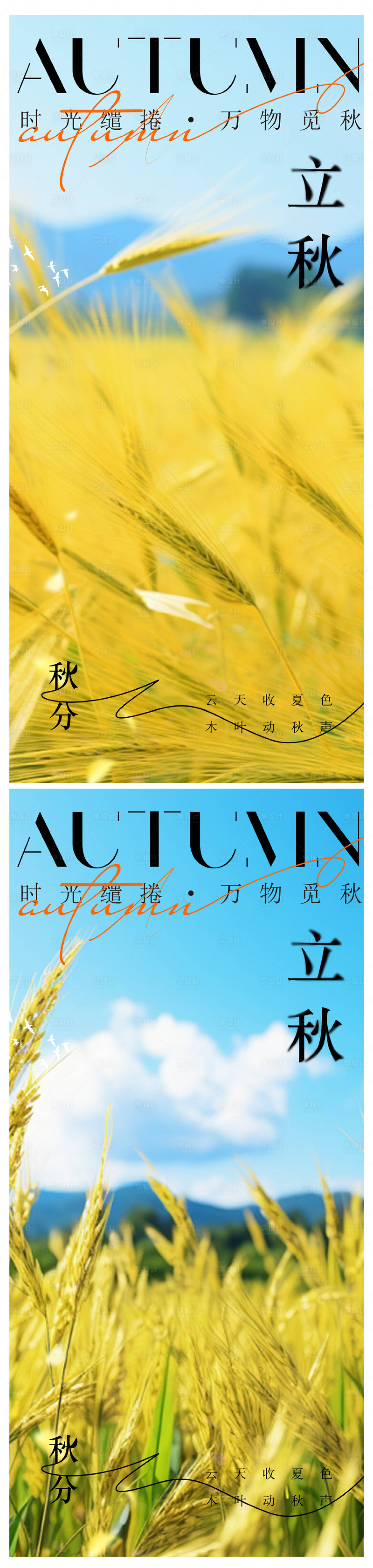 源文件下載【享設(shè)計(jì)】搜索編號：10950025352359643【立秋海報(bào)】