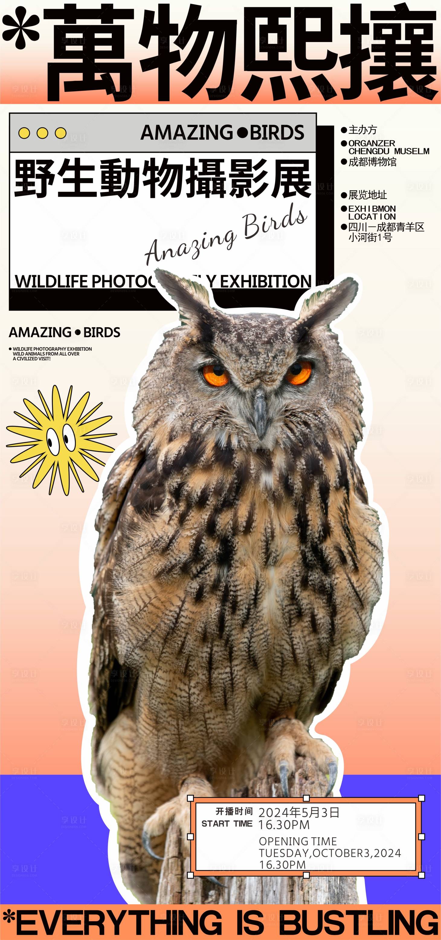 源文件下載【享設計】搜索編號：80130025011848981【野生動物攝影展海報】