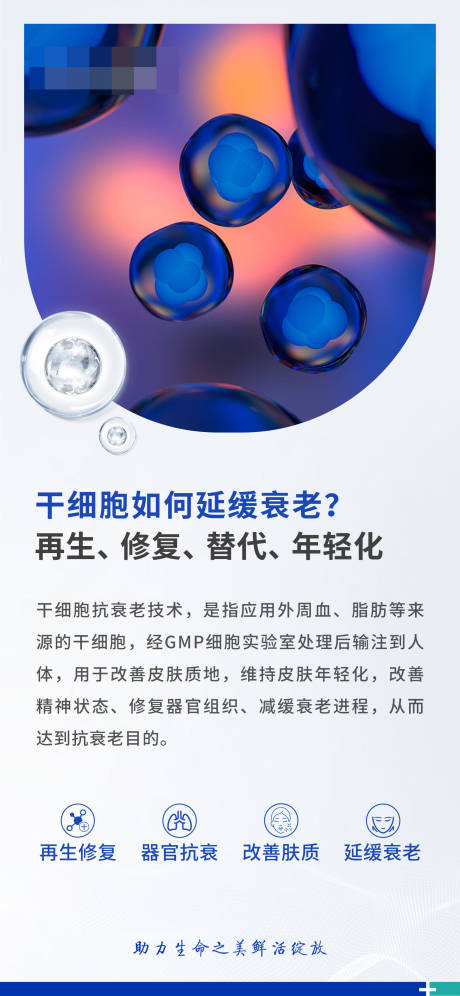 细胞 