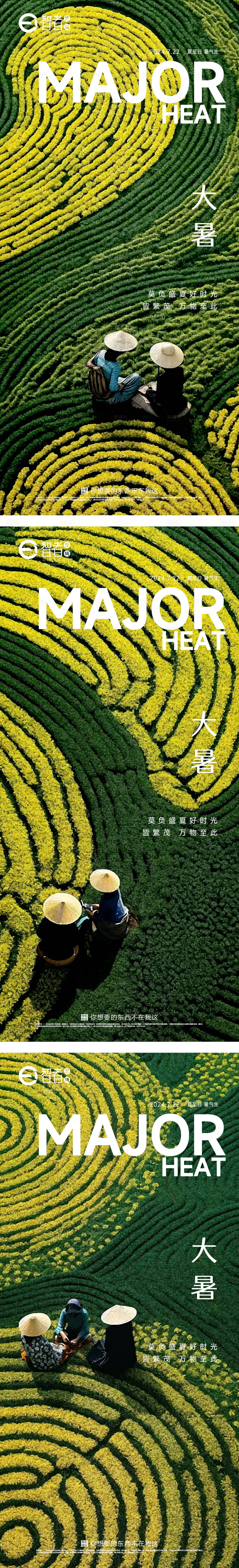 源文件下載【享設計】搜索編號：20040025117796028【大暑 】
