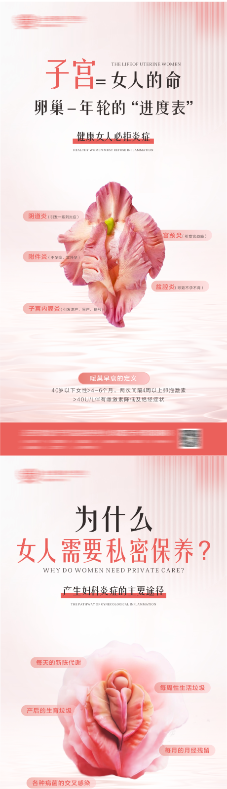 源文件下载【女性私密宣传系列海报】编号：26680025286919659