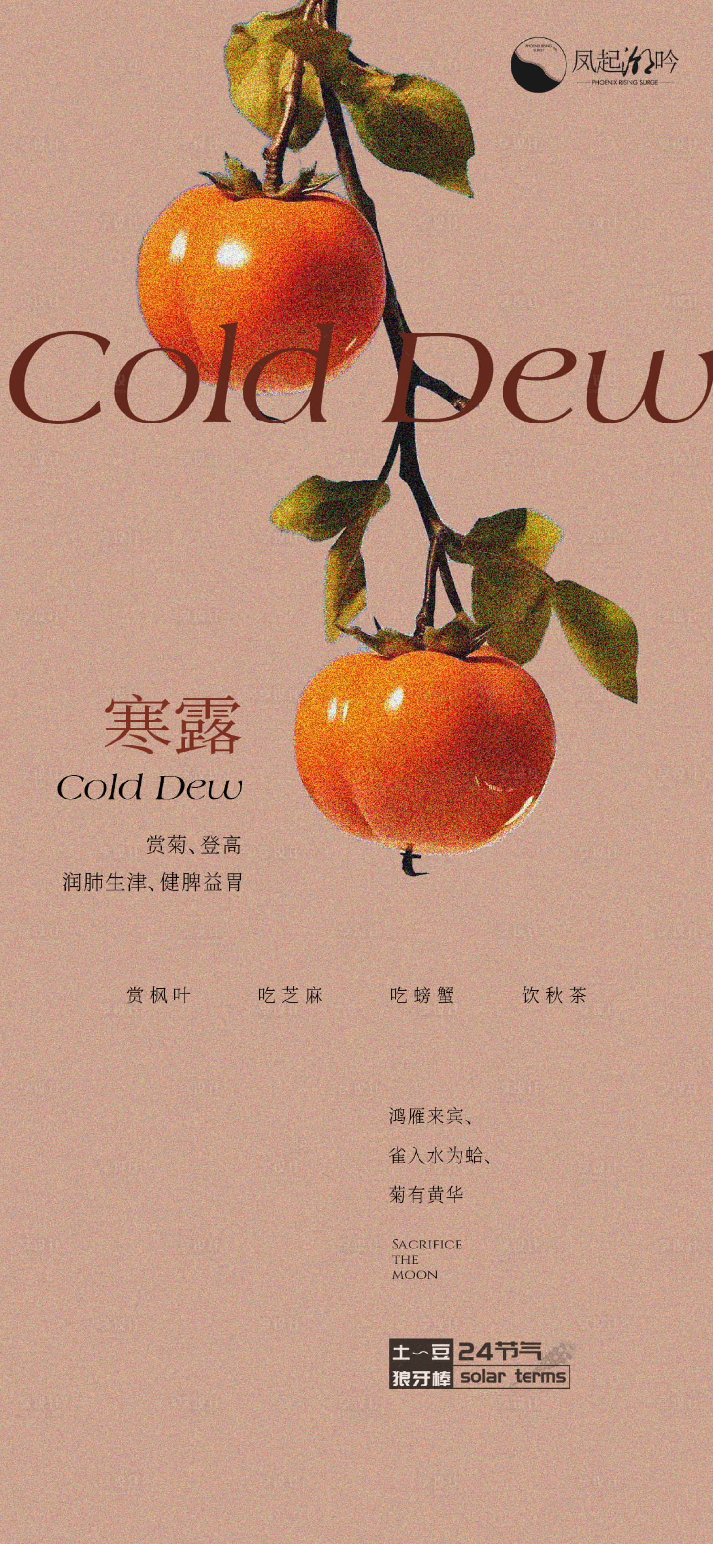 源文件下載【享設計】搜索編號：68170025027467702【寒露節氣海報】