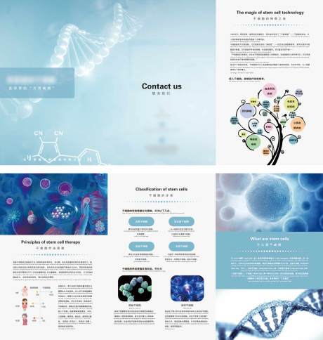 源文件下载【生物科技干细胞三折页】编号：13140025337942571