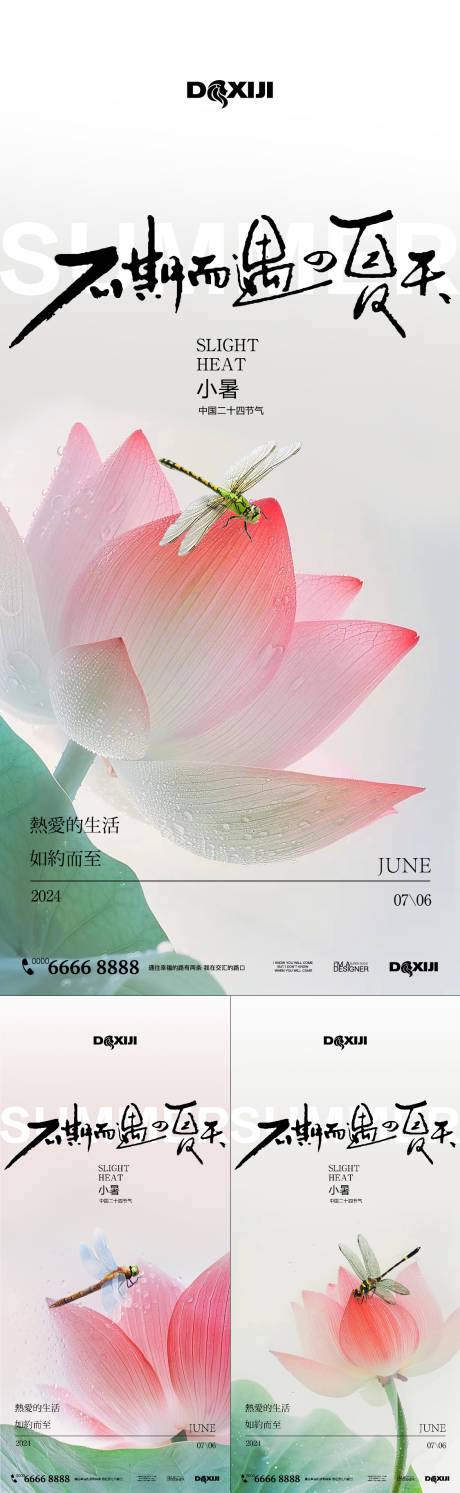 源文件下载【小暑荷花简约系列海报】编号：51350024883114068