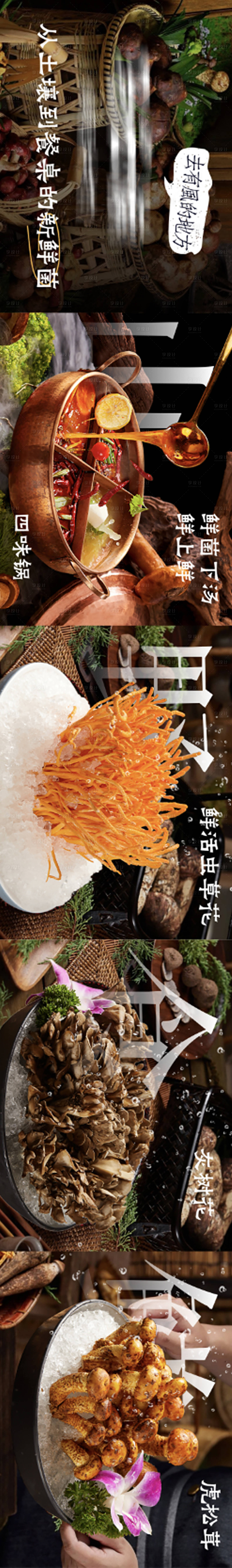 源文件下載【享設(shè)計】搜索編號：31090025323467574【云南菌子火鍋海報】