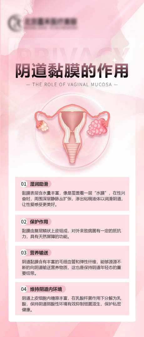 源文件下载【享设计】搜索编号：59570024866433475【阴道黏膜的作用】