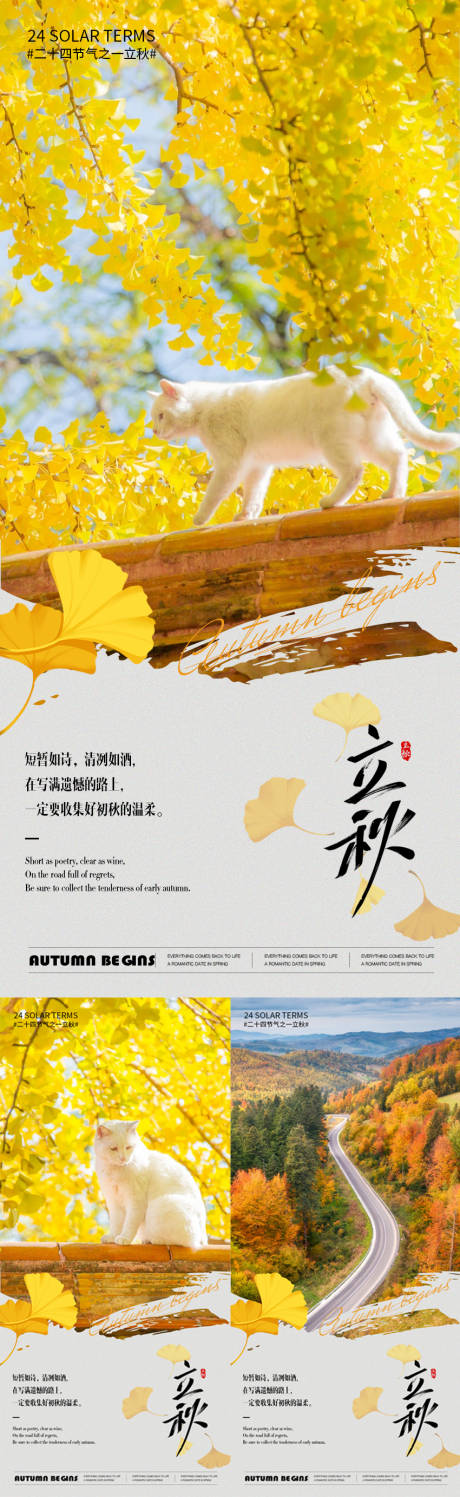 源文件下载【小清新立秋节气系列海报】编号：95000025363453640