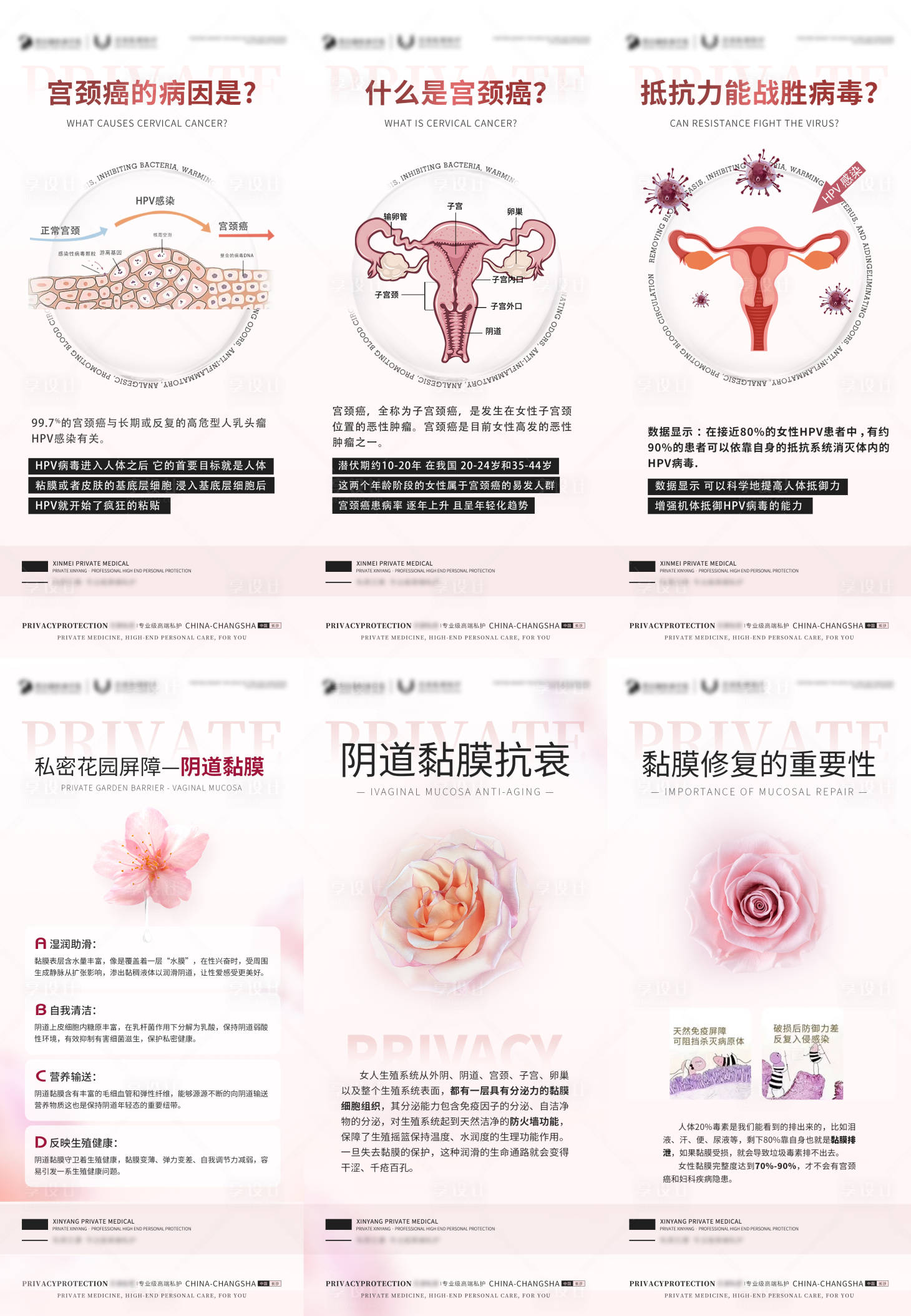 源文件下載【享設計】搜索編號：81780025343266940【私密科普海報】