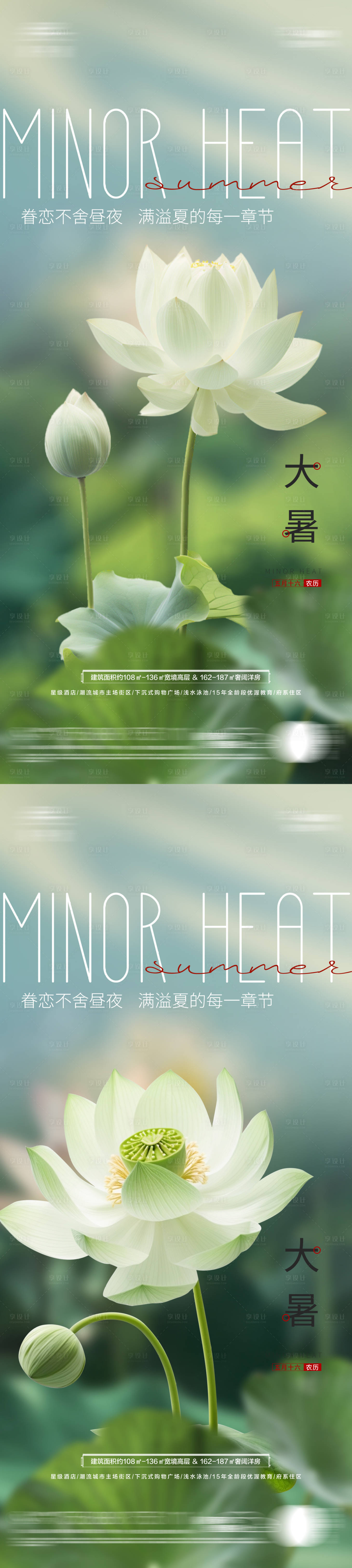 源文件下载【大暑节气荷花海报】编号：46370025056321878