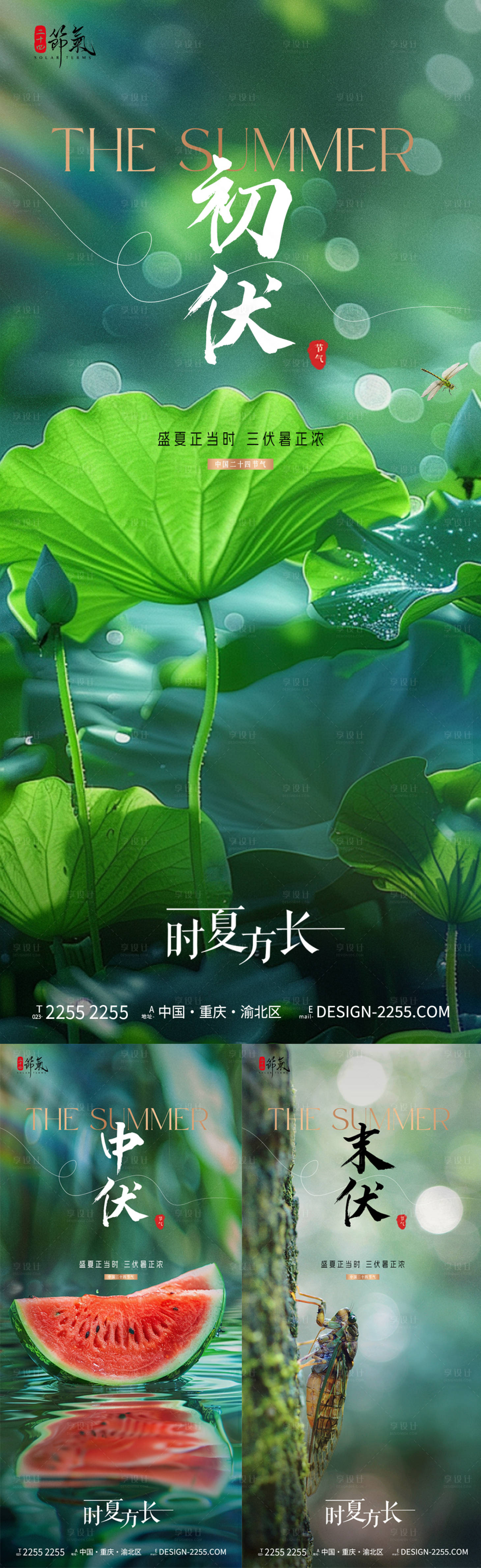 源文件下載【地產三伏天節氣海報】編號：95810025174768324