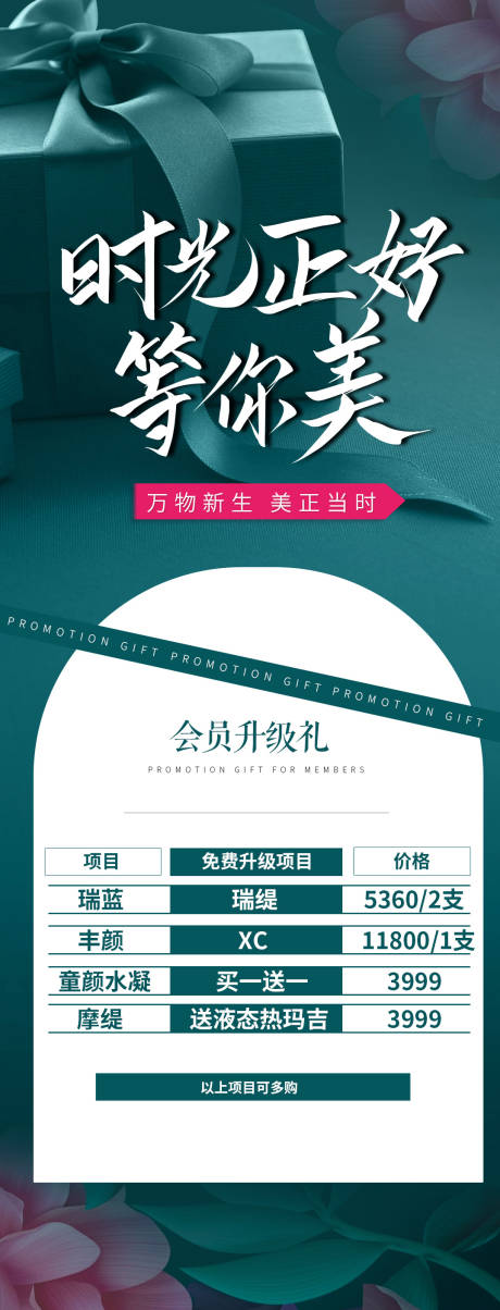 源文件下载【医美会员福利宣传海报】编号：29800025138185638