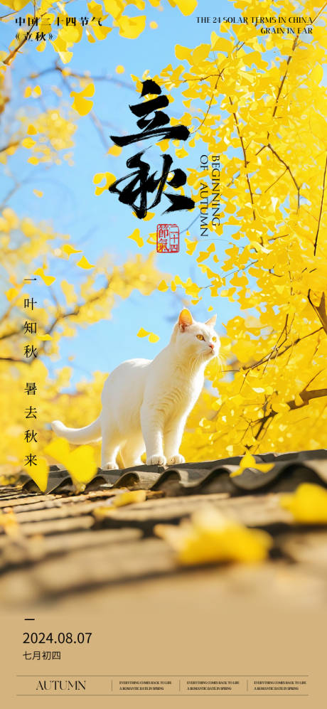 源文件下载【享设计】搜索编号：23930025454126147【立秋猫咪海报】