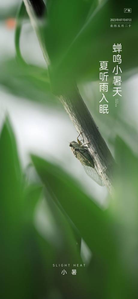 源文件下载【享设计】搜索编号：34020024865374230【小暑节气微信】