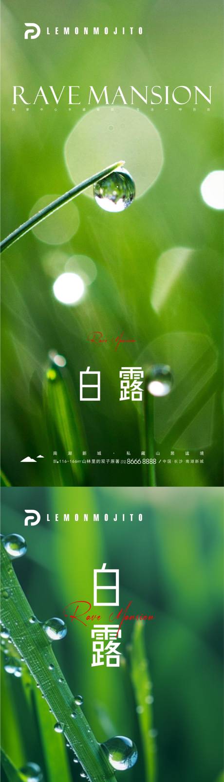 源文件下载【享设计】搜索编号：11860025170848118【二十四节气白露海报】