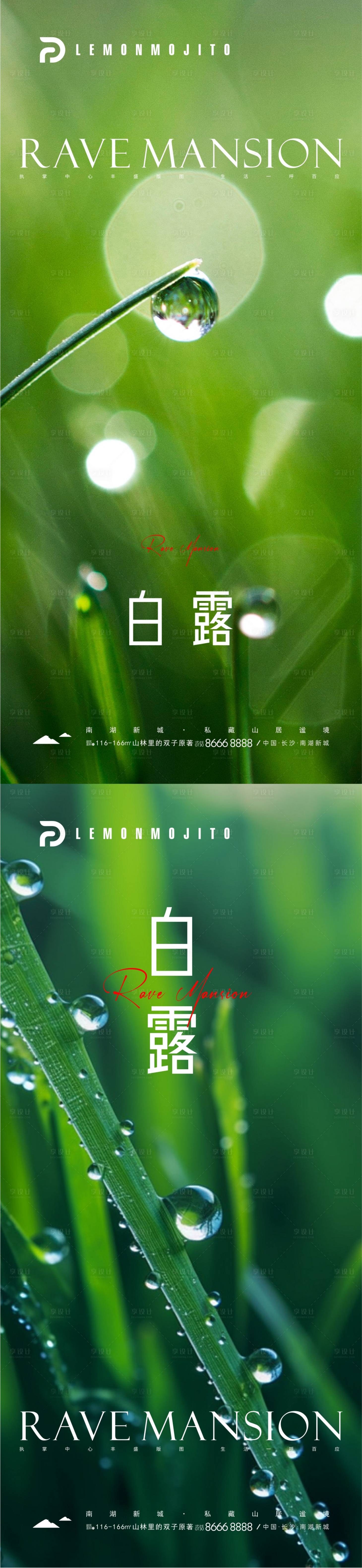 源文件下载【享设计】搜索编号：11860025170848118【二十四节气白露海报】