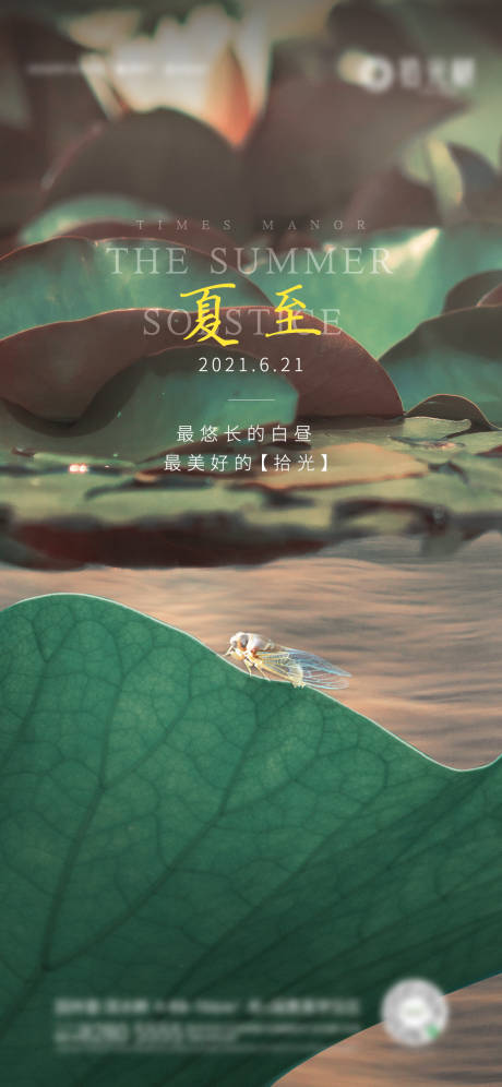 源文件下载【夏至节气移动端海报】编号：67110025217866001