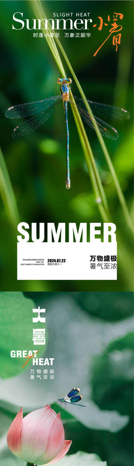 源文件下載【享設計】搜索編號：60400025219099431【大暑海報】