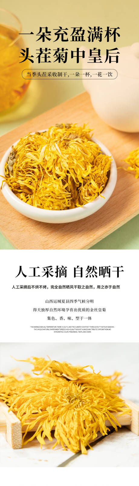 源文件下载【金丝皇菊详情】编号：69330025250407070