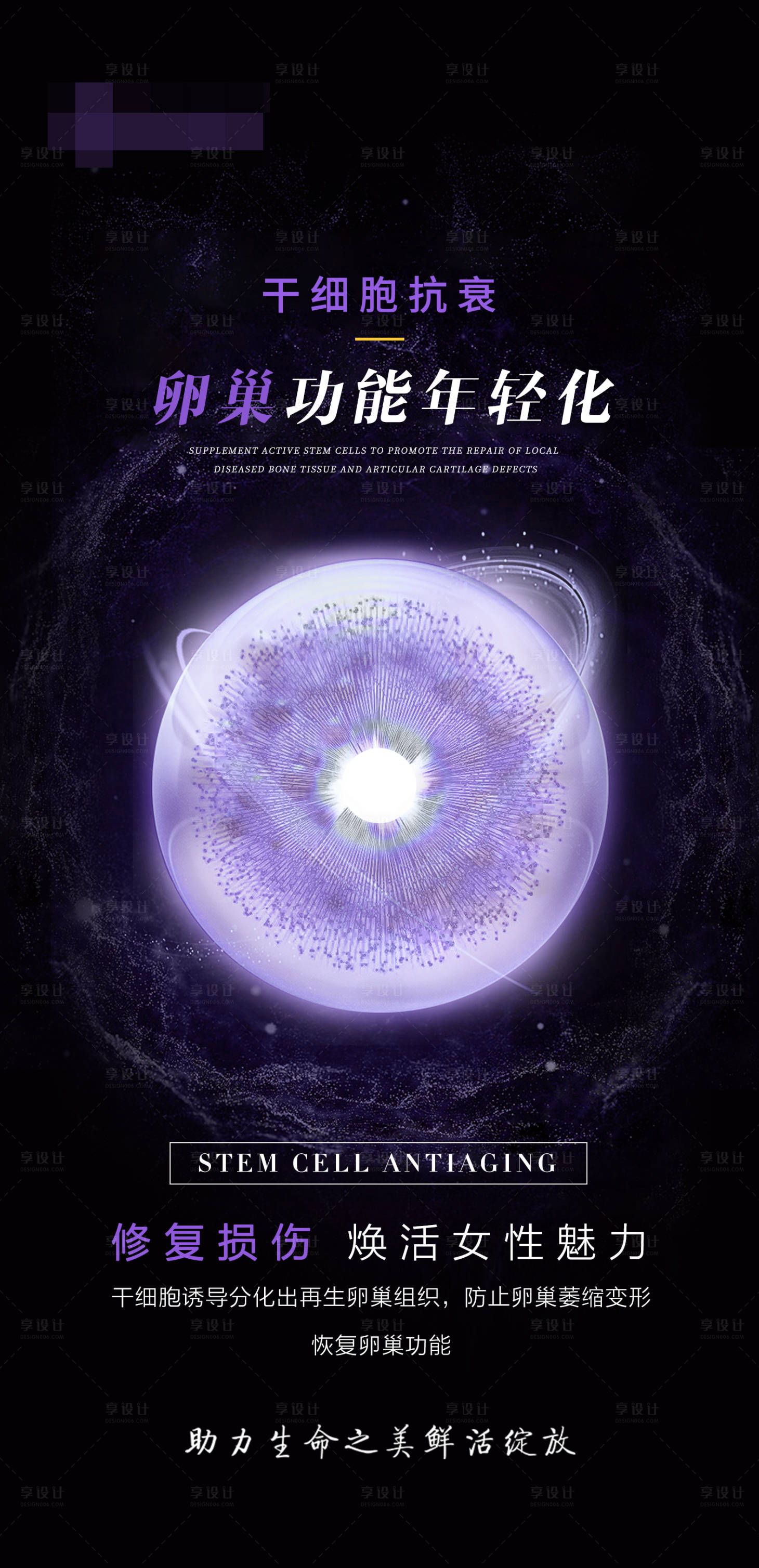 源文件下载【享设计】搜索编号：85540025285407348【卵巢功能年轻化海报】