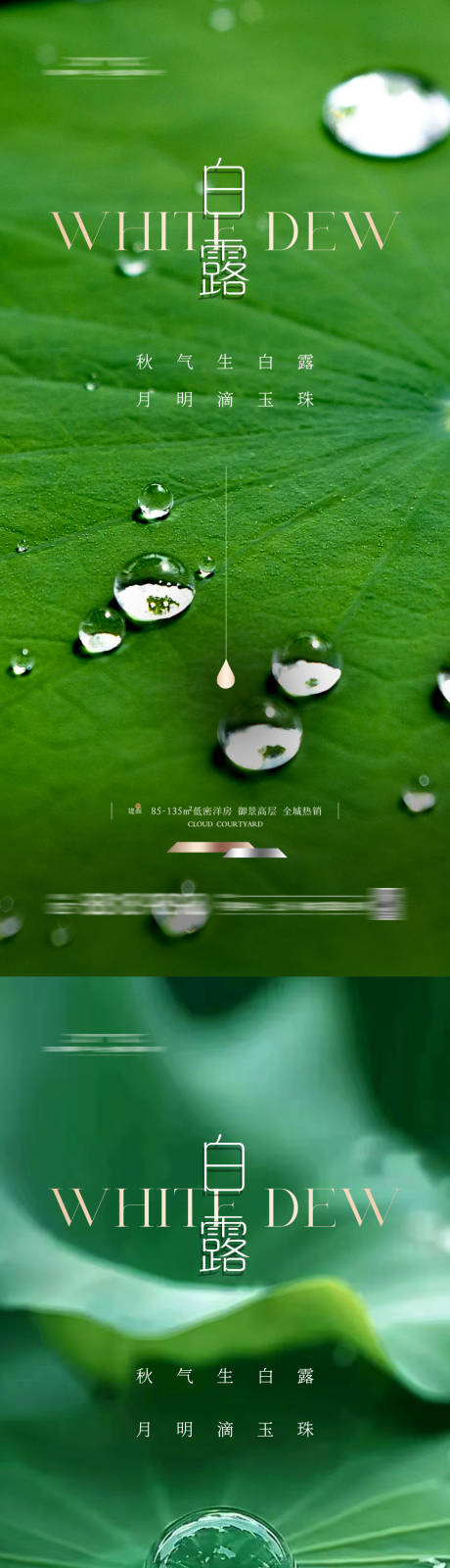 源文件下载【享设计】搜索编号：52850025143114912【白露节气露珠系列海报】