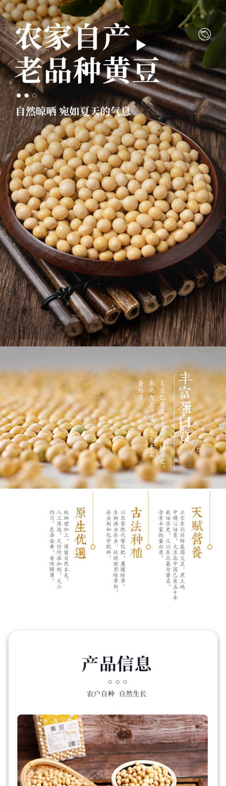黄豆详情