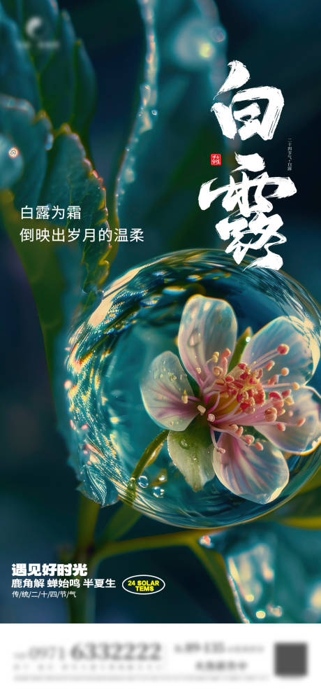 源文件下载【白露节气海报】编号：50930024955641205