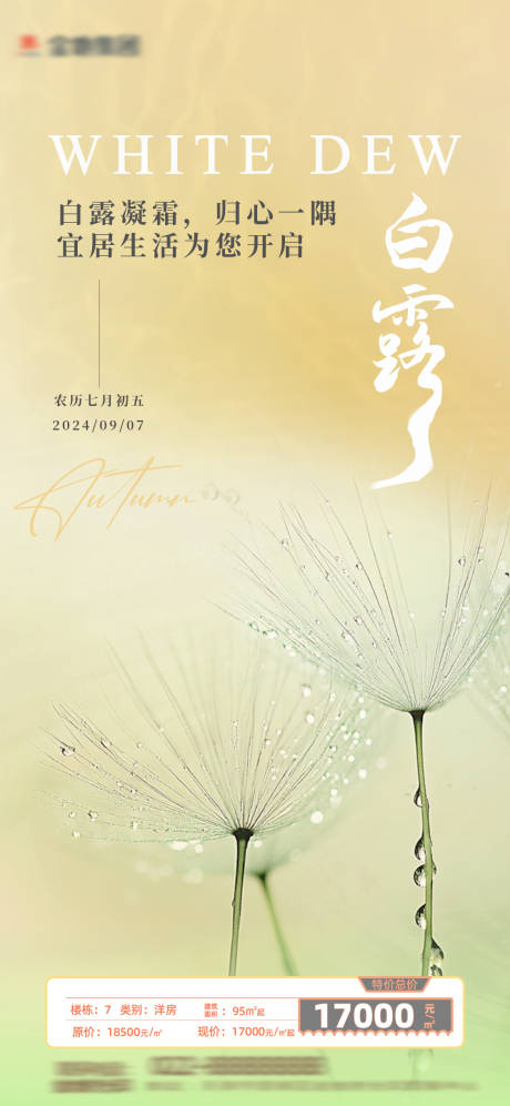 源文件下载【房地产白露海报】编号：26000025912026647