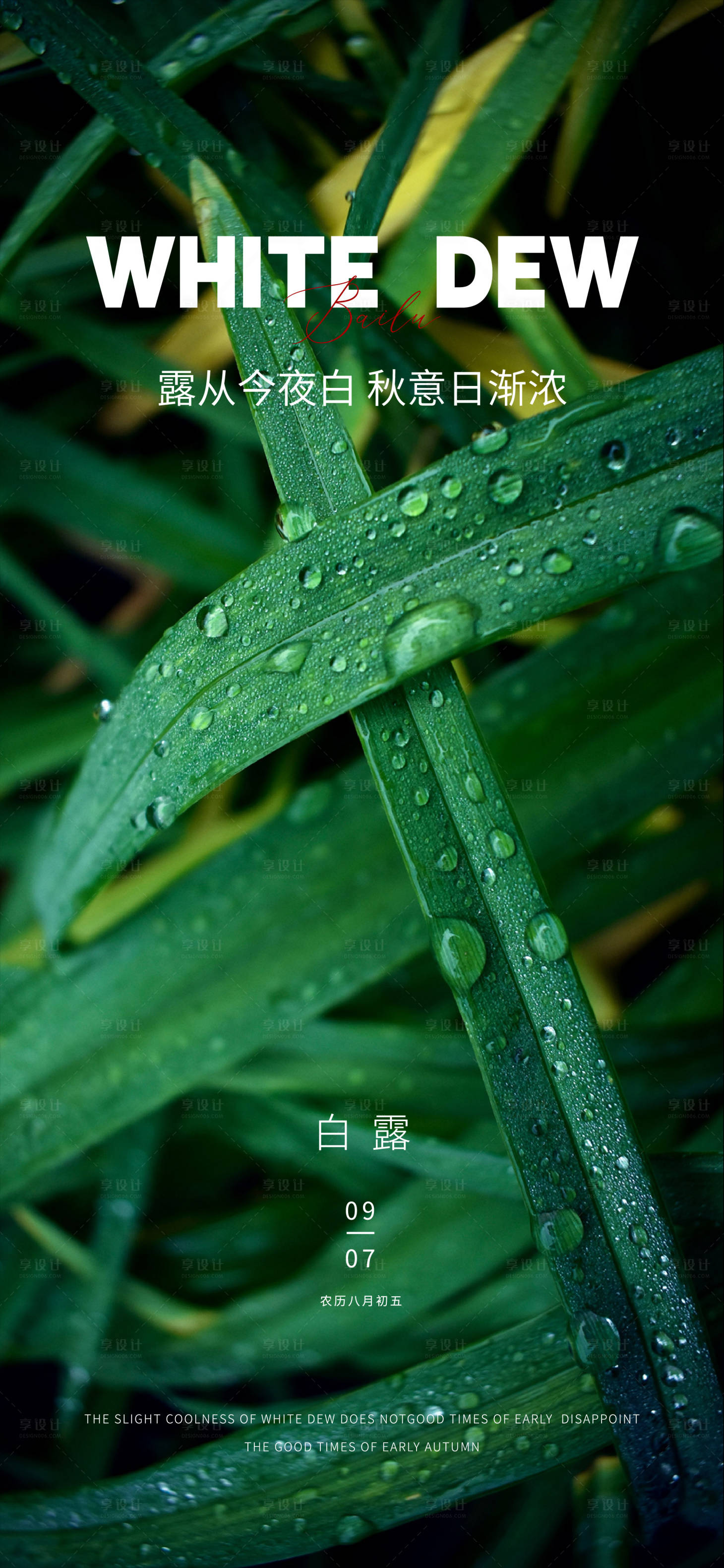 源文件下载【享设计】搜索编号：72750025949898426【白露雨水寒露霜降小寒大寒】