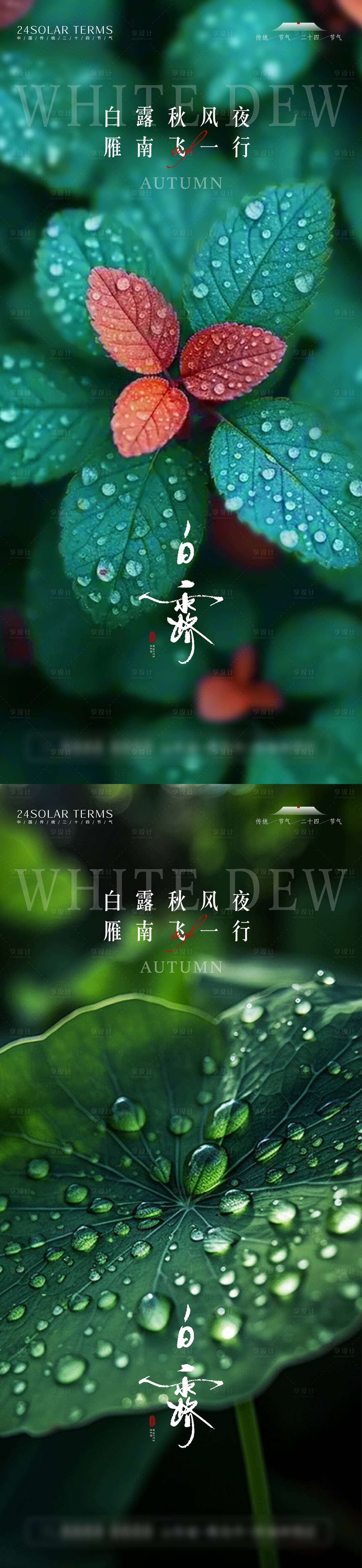 源文件下载【二十四节气白露海报】编号：55130025936259512