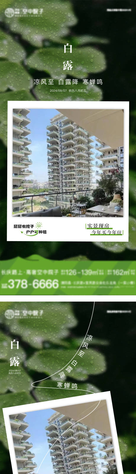 源文件下载【白露】编号：95700025856576443