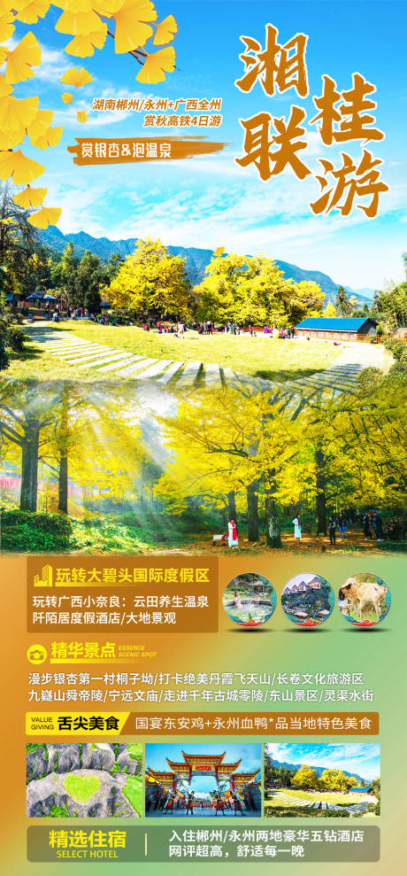 源文件下載【享設(shè)計(jì)】搜索編號(hào)：43770025700246213【湘桂聯(lián)游秋季銀杏海報(bào)】