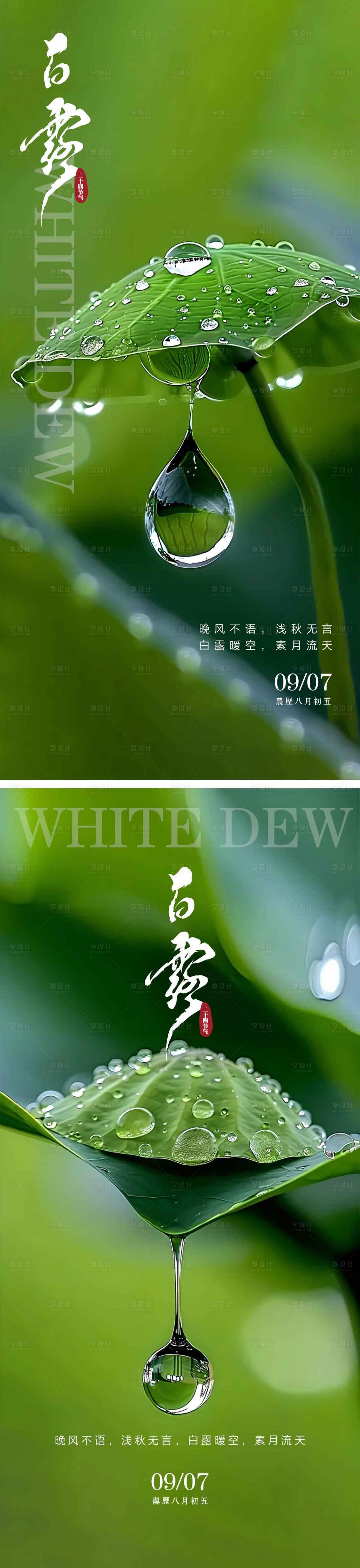 源文件下載【享設(shè)計(jì)】搜索編號(hào)：23410025909568975【白露節(jié)氣海報(bào)】