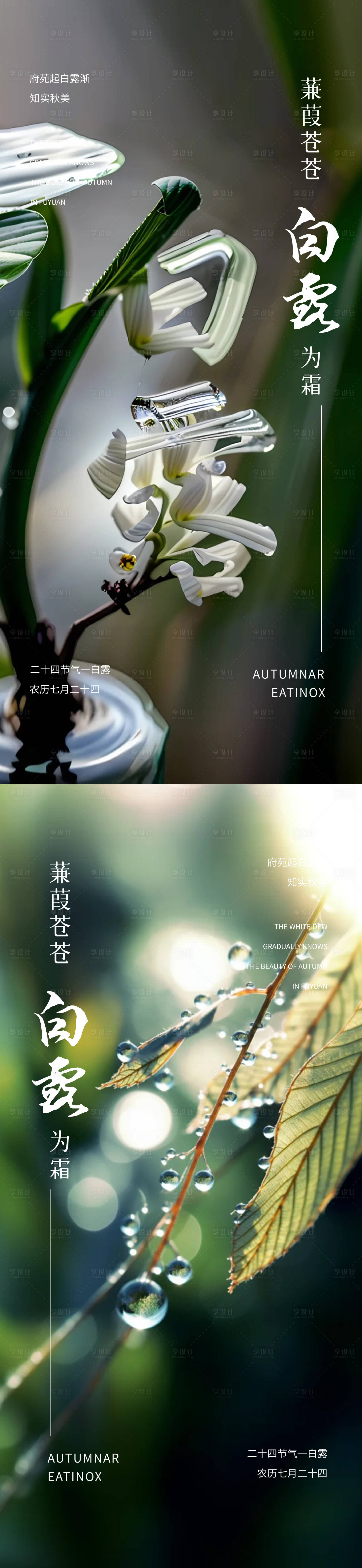 源文件下载【享设计】搜索编号：69570025953863800【白露节气海报】