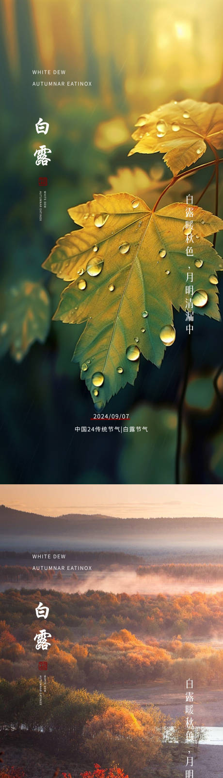 源文件下载【白露节气移动端海报】编号：18480025949593762