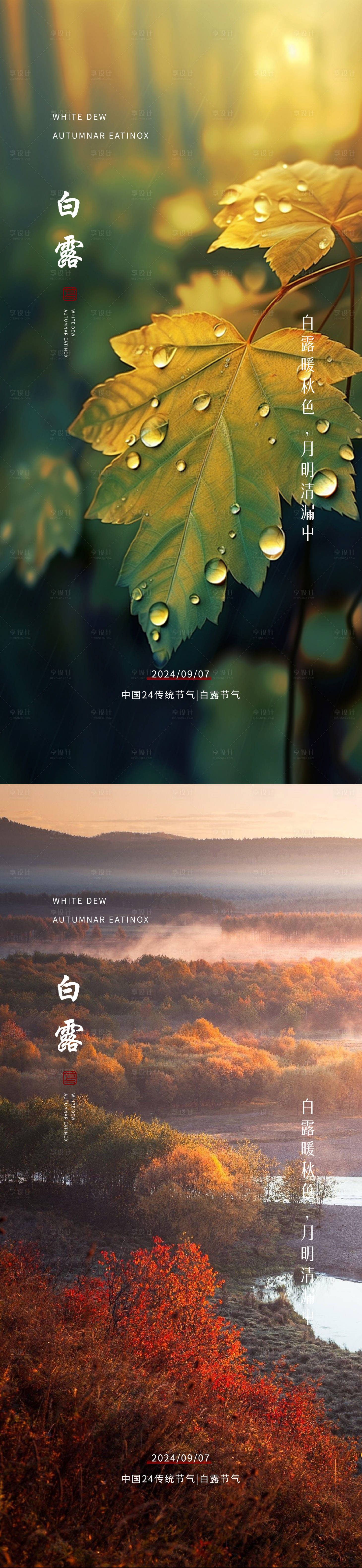 源文件下載【享設(shè)計(jì)】搜索編號(hào)：18480025949593762【白露節(jié)氣移動(dòng)端海報(bào)】