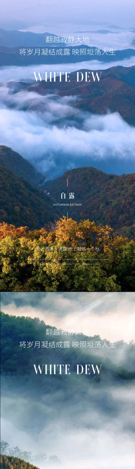 源文件下載【享設計】搜索編號：59300025958591527【白露海報】