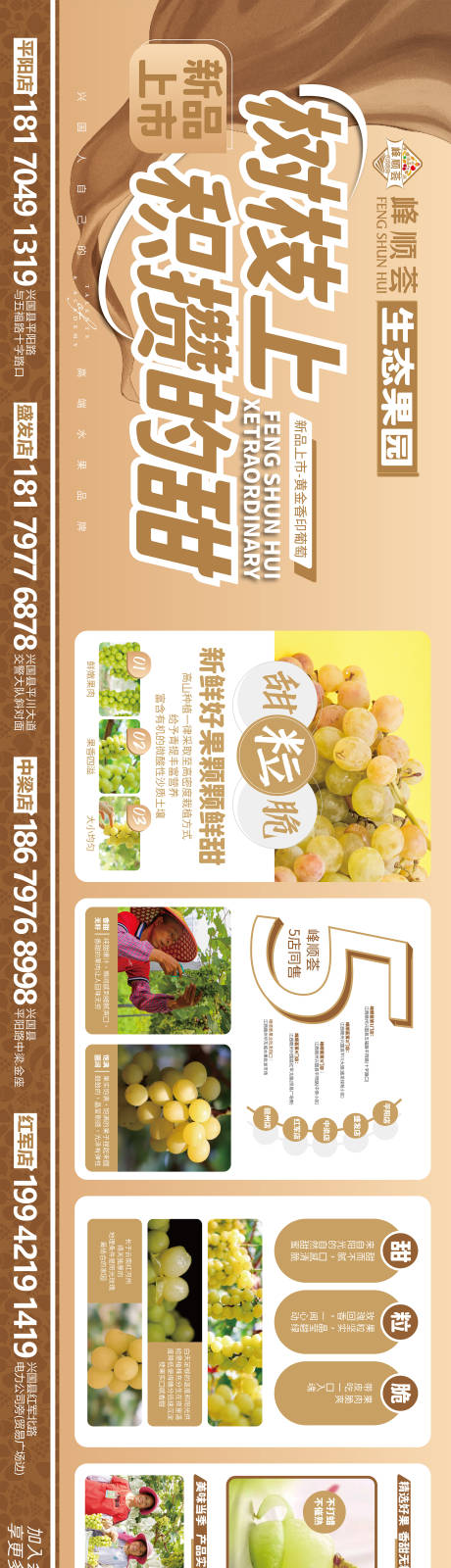 源文件下载【生态水果海报展板】编号：70950025883497404