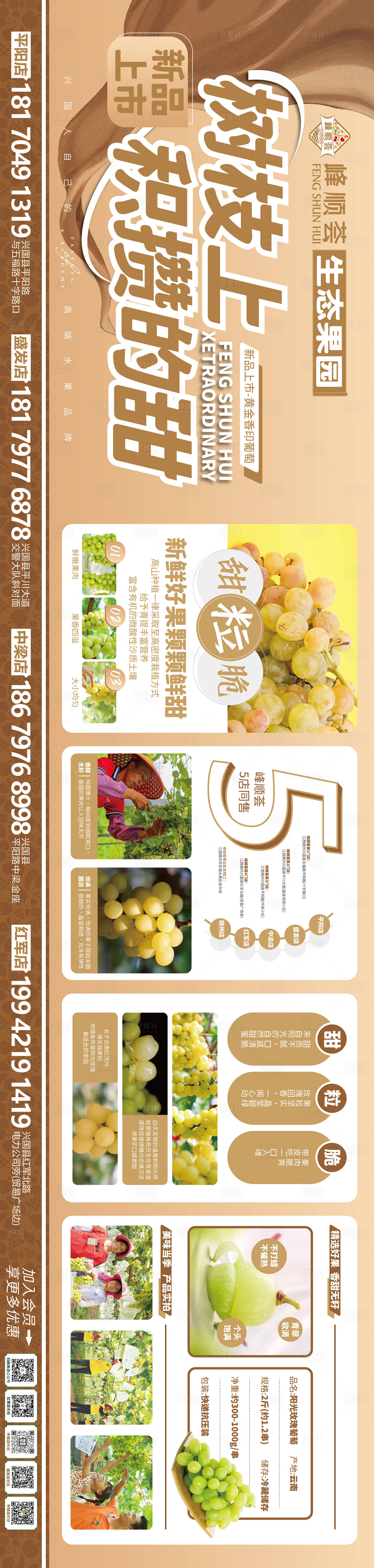 源文件下载【享设计】搜索编号：70950025883497404【生态水果海报展板】