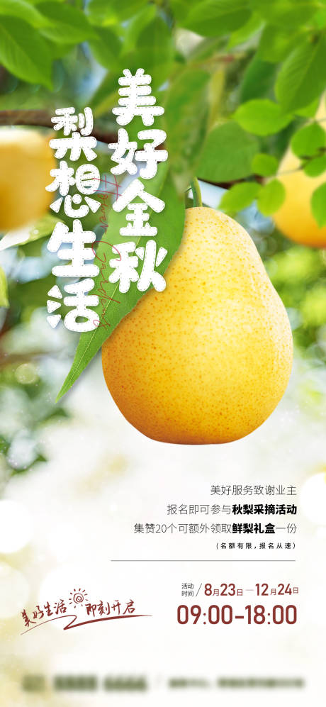 源文件下載【享設(shè)計】搜索編號：26480025869527259【秋梨禮品海報】