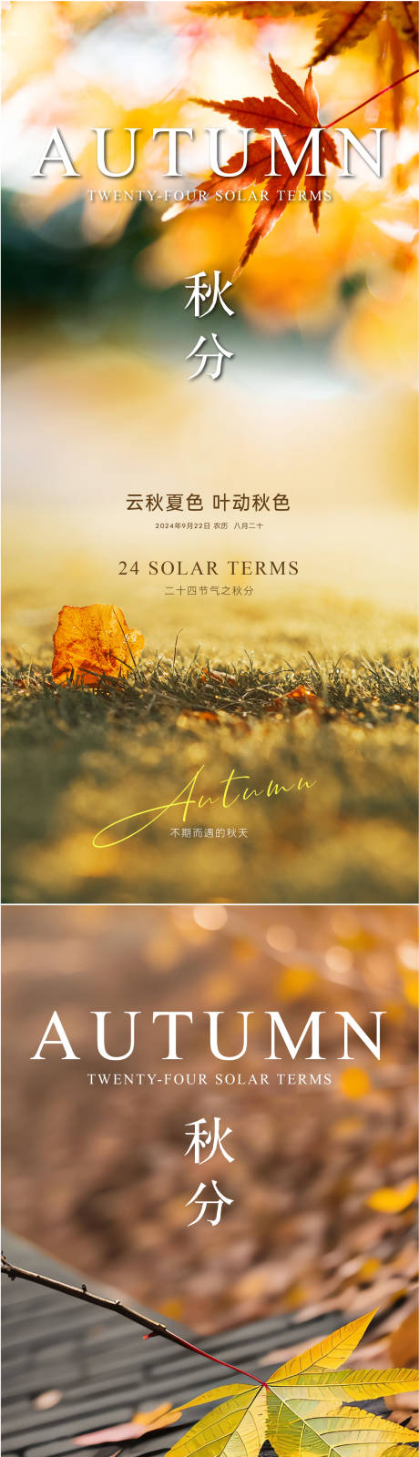 源文件下载【享设计】搜索编号：12760025891272789【秋分节气系列海报】