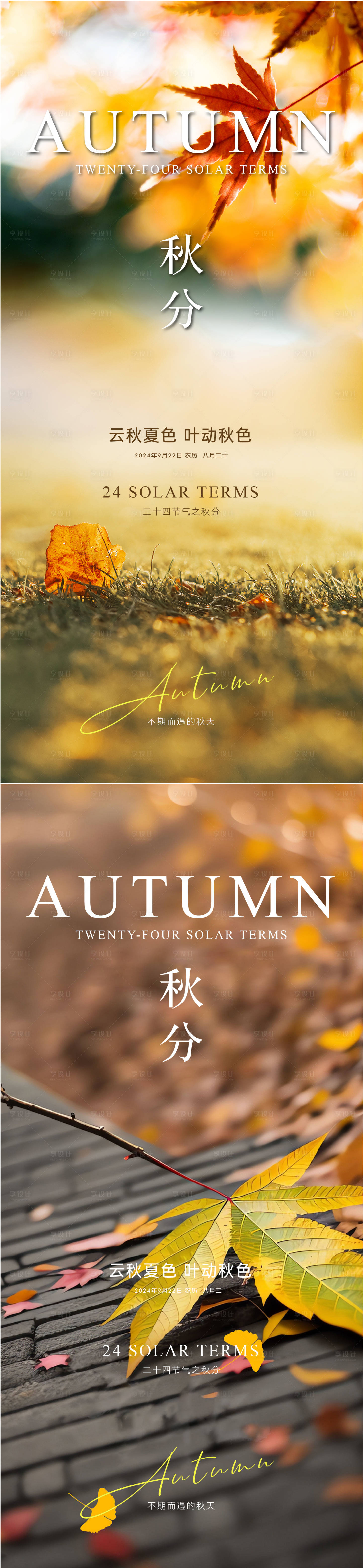 源文件下载【享设计】搜索编号：12760025891272789【秋分节气系列海报】