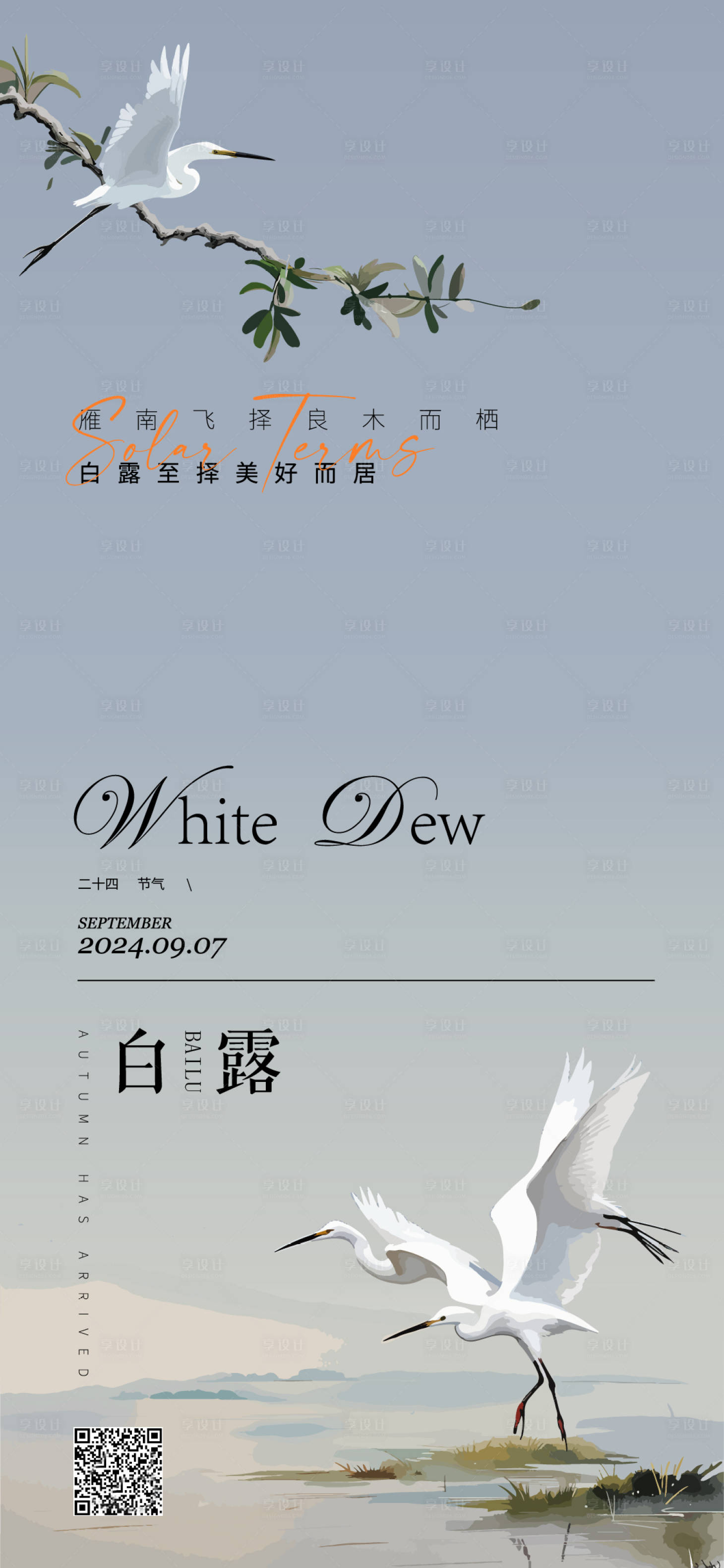 源文件下载【白露海报】编号：99640025851446046