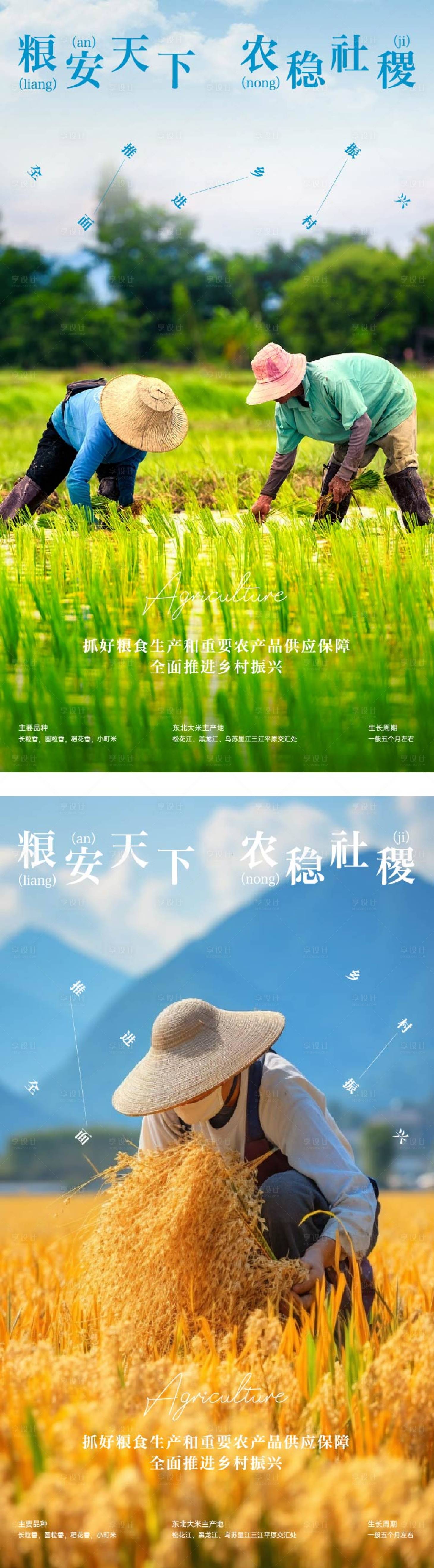 源文件下載【享設計】搜索編號：75020025846358213【鄉村振興】