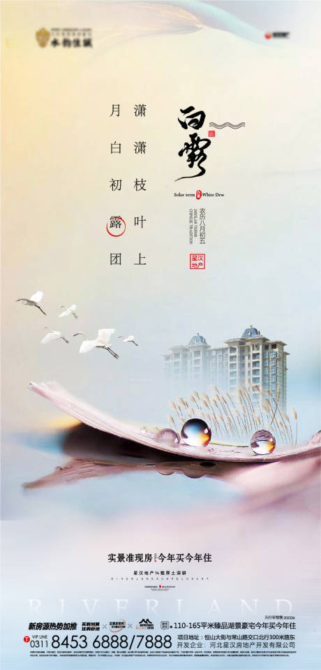 源文件下载【地产白露海报】编号：29830025558219441